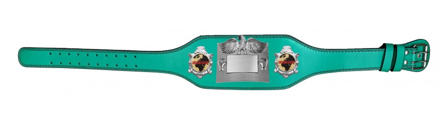 SMALL SILVER EAGLE CUSTOM CHAMPIONSHIP BELT PLT299/S/CUSTOM - AVAILABLE IN 4 COLOURS - BLACK, RED, BLUE, GREEN SMALL SILVER EAGLE CUSTOM CHAMPIONSHIP BELT PLT299/S/CUSTOM - AVAILABLE IN 4 COLOURS - BLACK, RED, BLUE, GREEN